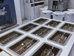 -% Arabica阿拉比卡咖啡(武汉天地店)