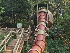 -北京西山国家森林公园