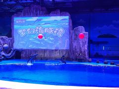 -华夏文旅海洋公园