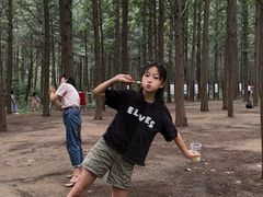 -日照海滨国家森林公园