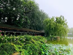 -听鹂馆饭庄(颐和园店)