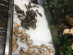 -南美豹国际自助百汇(万象城店)