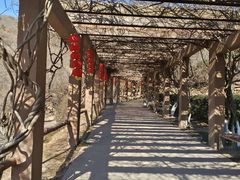 -石老人观光园