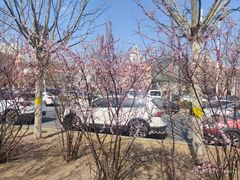 -京津佛罗伦萨小镇