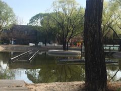 -枫花园汽车电影院(朝阳公园店)