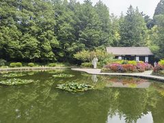 -庐山风景区花径公园