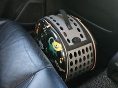 -北京观赏动物医院·24小时大型综合·猫专科·异宠专科