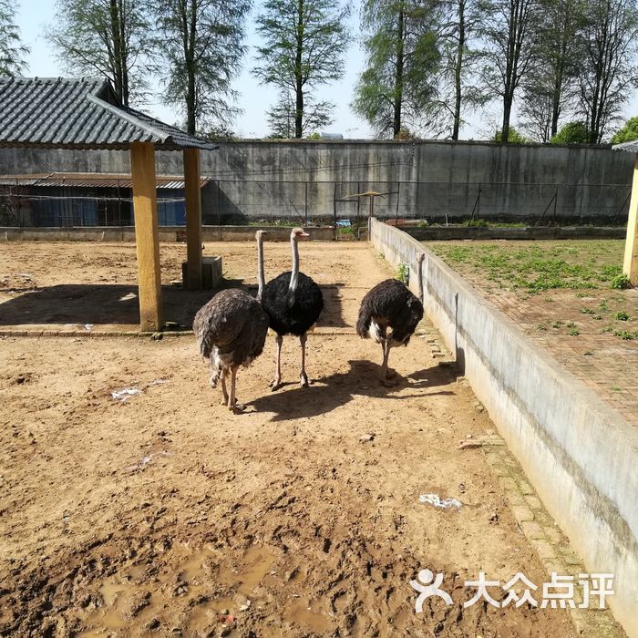 武汉动物园