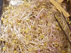 豆芽-大漠风烤肉火锅自助餐厅(鹰展店)