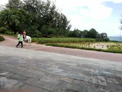 -玫瑰海岸文化旅游度假区