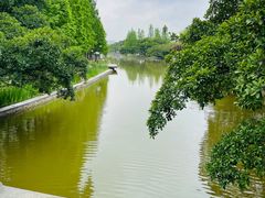 -江心屿景区