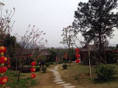 -天适樱花悠乐园
