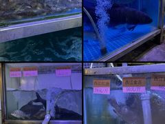 -八仔大富楼·河鲜(西江店)