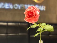 -龙猫意杯花园餐厅(芙蓉湖店)