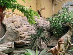 -国家自然博物馆