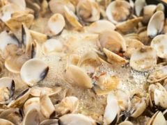 招牌卜卜贝-顺德哥卜卜贝(旗舰店)