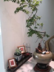 -Your Yoga Pilates·瑜伽普拉提习练室