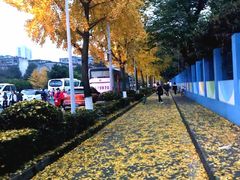 -四川大学(望江校区)
