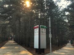 -帽儿山国家森林公园