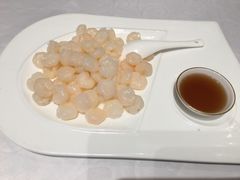 清炒河虾仁-红城阁·上海味道(四平路店)