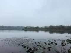 -东湖落雁景区