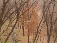 -白水寺森林公园