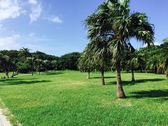 -鹅銮鼻公园