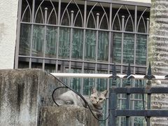 -猫岛主趣味餐厅(鼓浪屿店)
