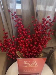 -上海玫瑰医疗美容医院