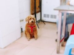 -熊仔屋(吉祥苑小区店)