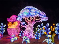 -沈阳奥体冰雪嘉年华