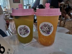 -Husky Go! 哈士奇体验馆·宠物咖啡厅狗咖