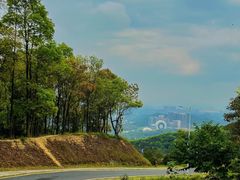 -黄埔油麻山森林公园