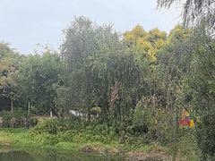 -厦门悦华酒店