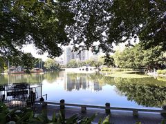 -荔湾湖公园
