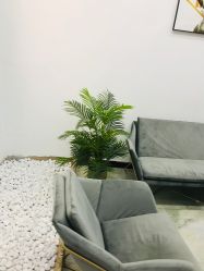 -久匠半永久纹眉