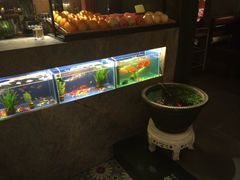 -咕嘟草帽鱼·牛奶一样的鲜鱼汤(包河万达广场创始店)