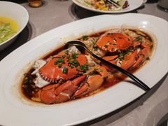 -醉庐·新上海菜(南京西路店)