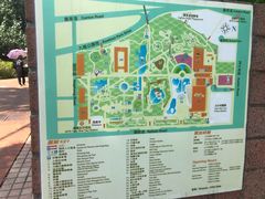 -九龙公园