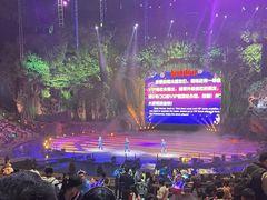 -广州长隆国际大马戏