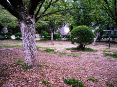 -西安青龙寺遗址景区