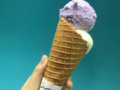 -成裕雪糕店(士多店)