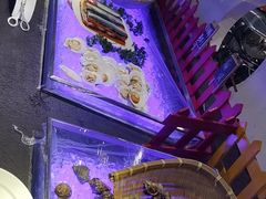 -安徽高速开元国际大酒店·地中海自助餐厅