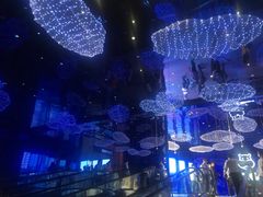 -盒马X会员店(上海森兰商都店)