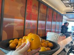 -桔子酒店(上海西藏北路地铁站店)