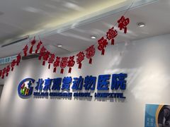 -北京观赏动物医院·24小时大型综合·猫专科·异宠专科