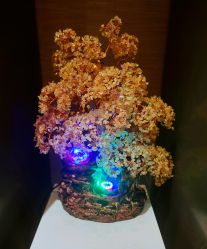 -栖SPA·ONDA ·海菲秀·皑皑科技美肤中心