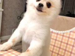 -小朱麻辣串(益民街店)