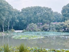 -河南省黄河迎宾馆