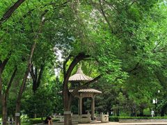 -玲珑塔公园